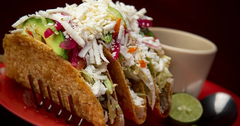 Tableau comparatif : quel type de taco pour quel usage ?